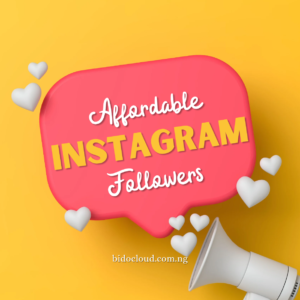 Buy Cheap & Stable Instagram Followers – Fast & Secure | Bidocloud