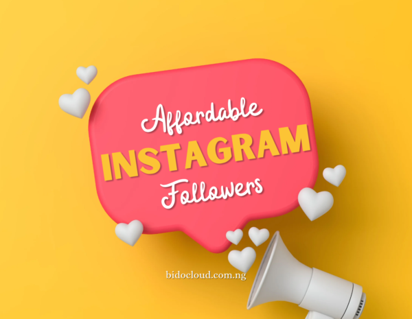 Buy Cheap & Stable Instagram Followers – Fast & Secure | Bidocloud
